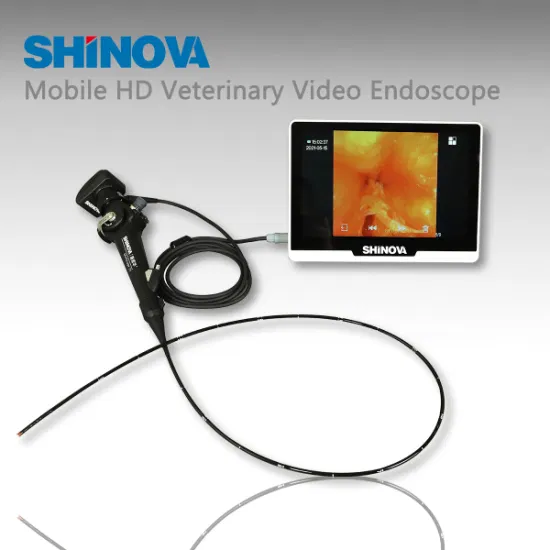Endoscope rigide vétérinaire pour équipement vétérinaire